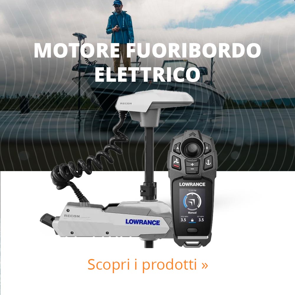 Fuoribordo elettrico